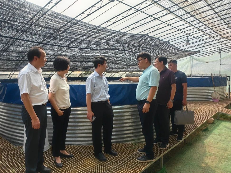 農(nóng)業(yè)農(nóng)村部一行到我區(qū)參觀考察魚(yú)菜共生項(xiàng)目